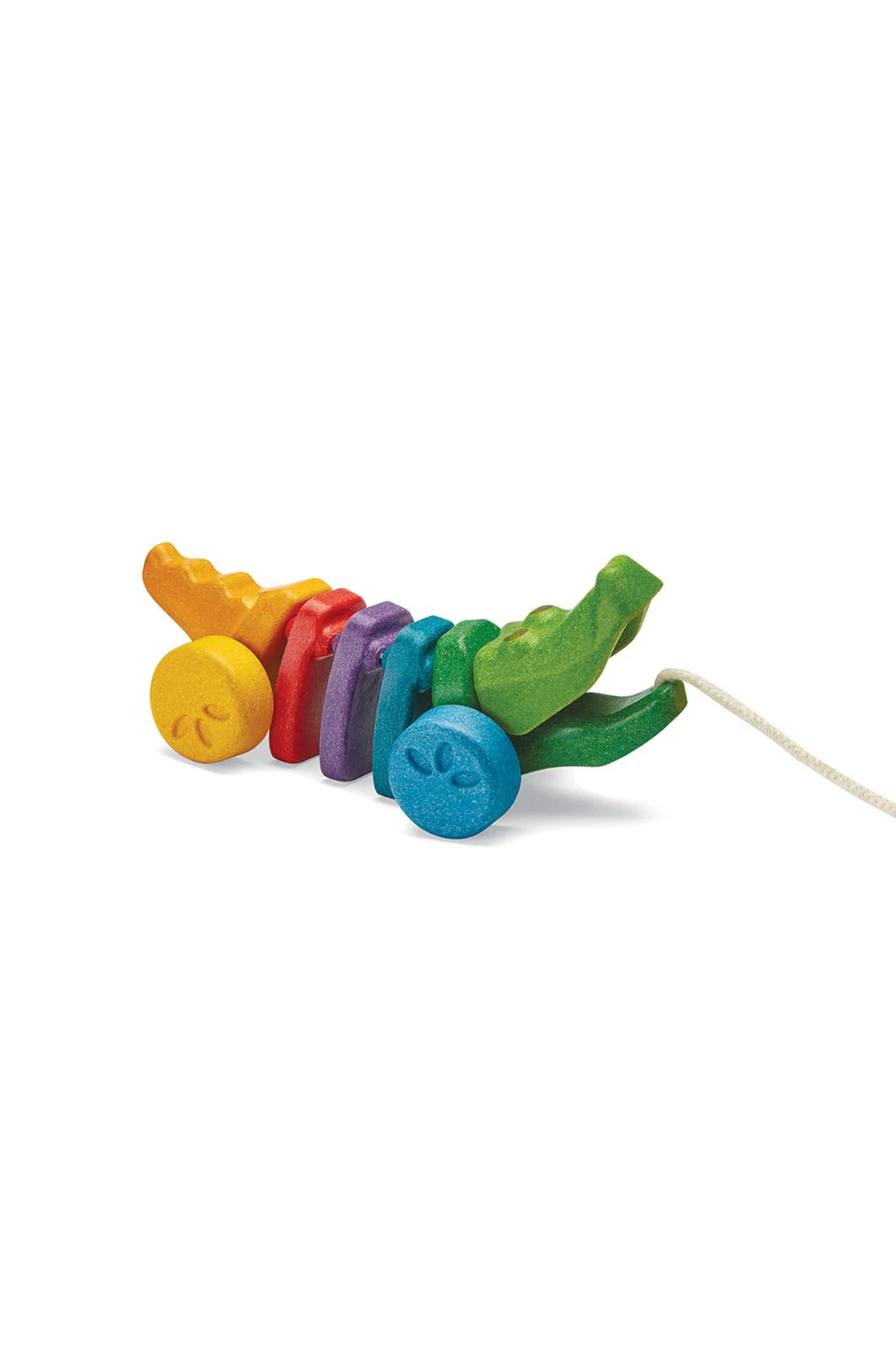 RAINBOW ALLIGATOR