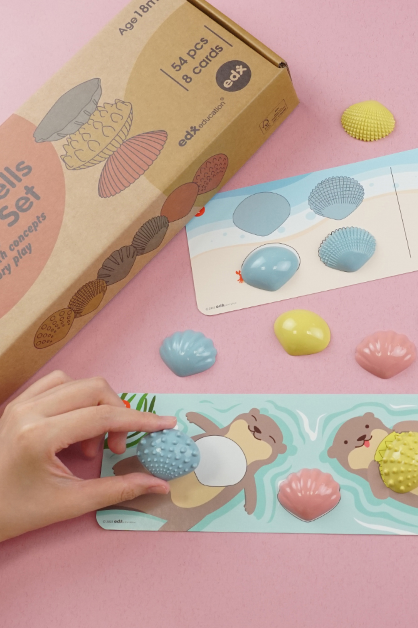 Edx Green n Learn Tactile Seashells Activity Set