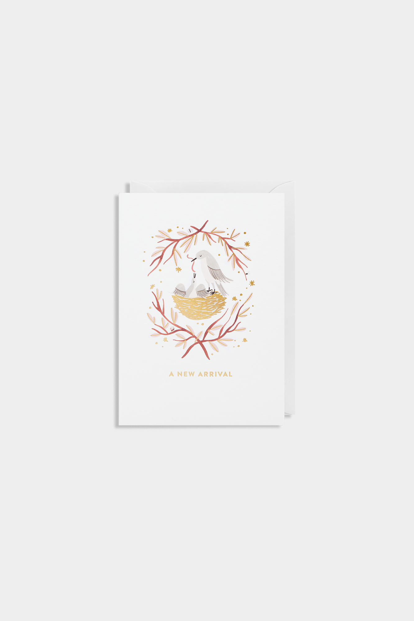 A New Arrival Greeting Card