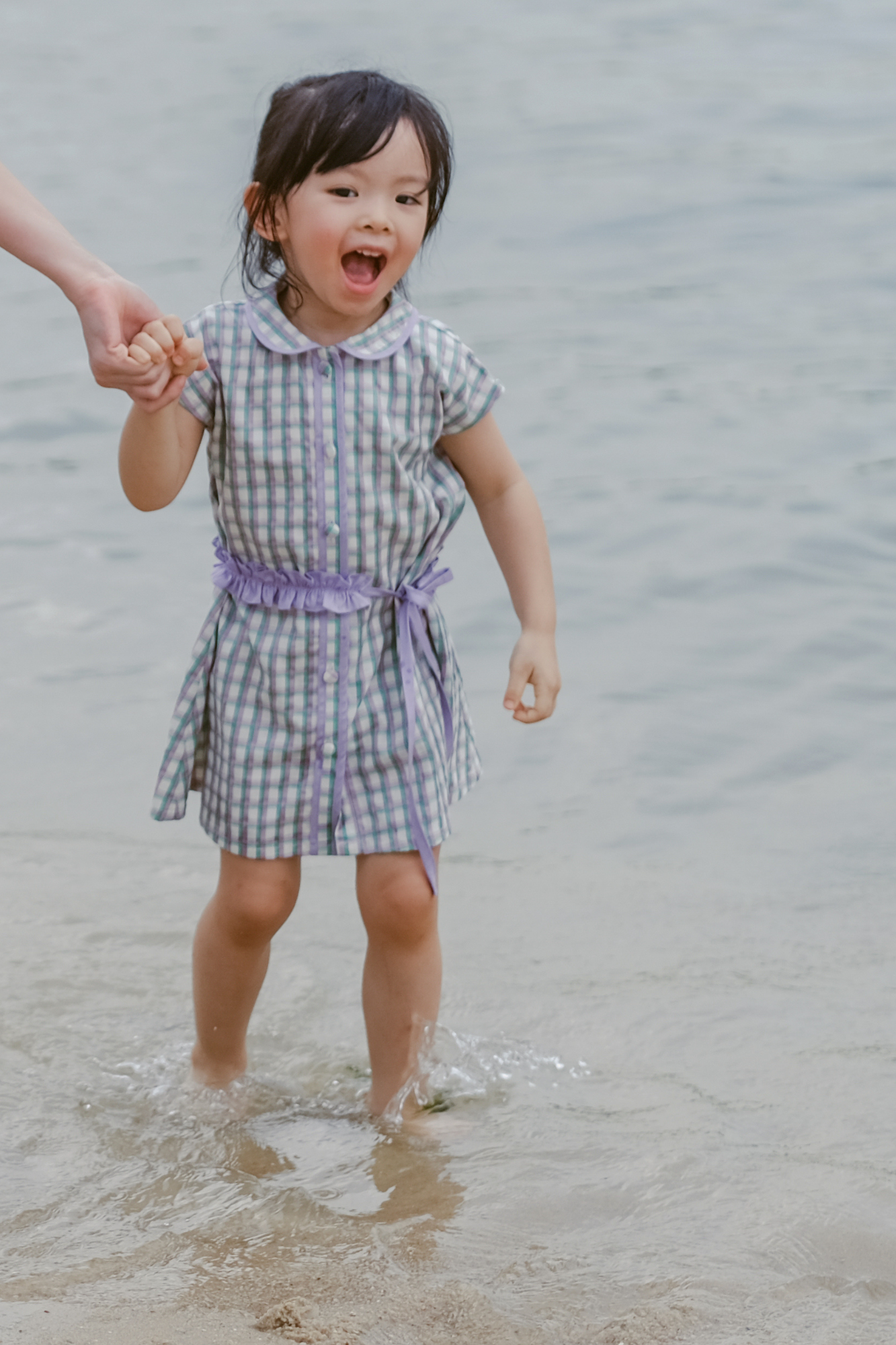 Multicolour Check Penny Dress