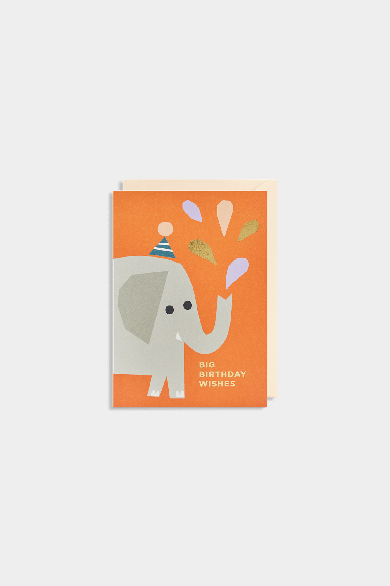 Big Birthday Wishes Greeting Card