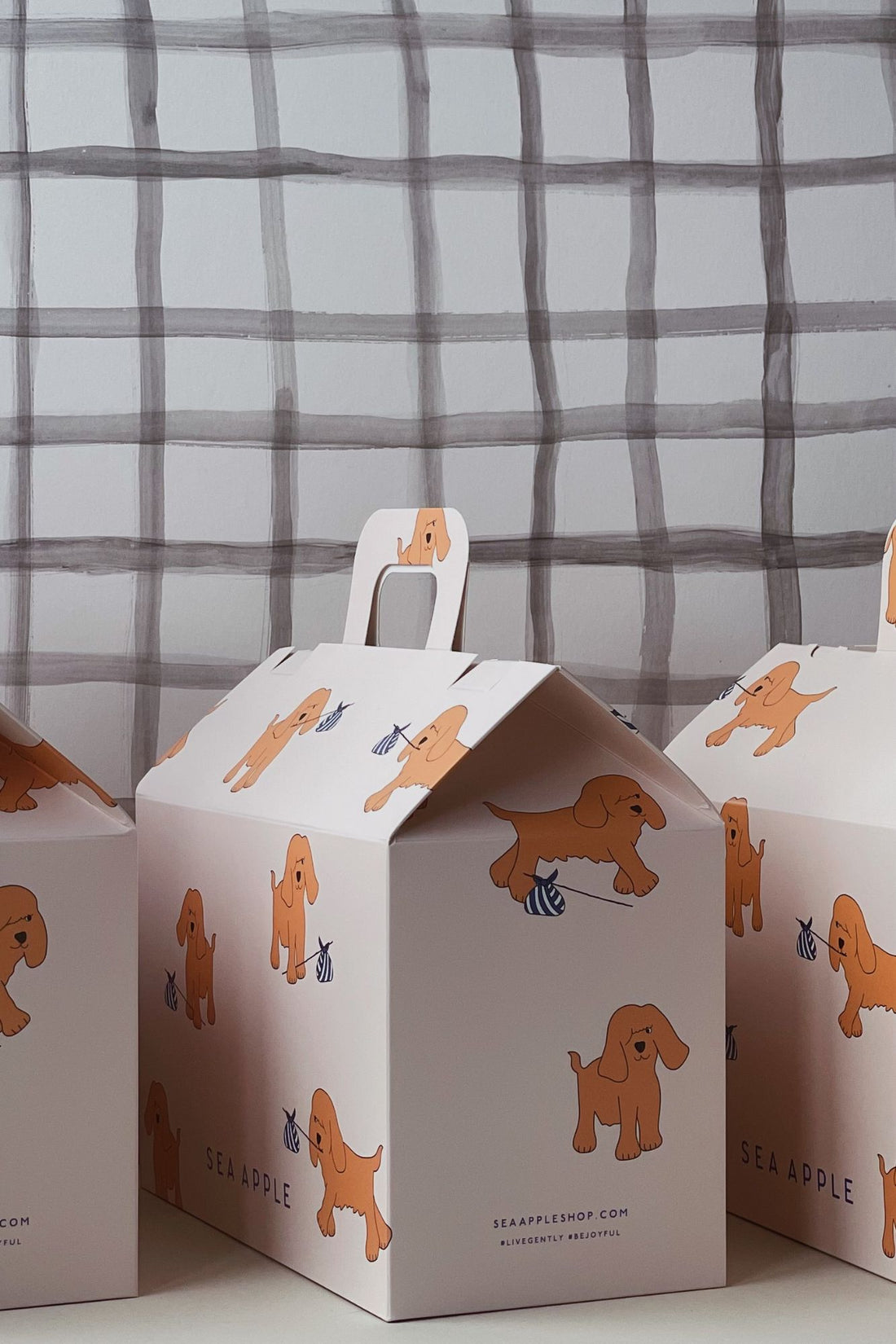 Runaway Dog House Box