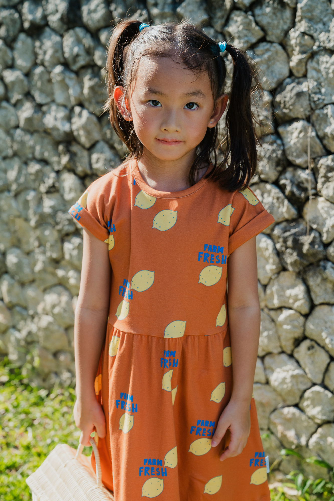 Farm Fresh Casual Dress