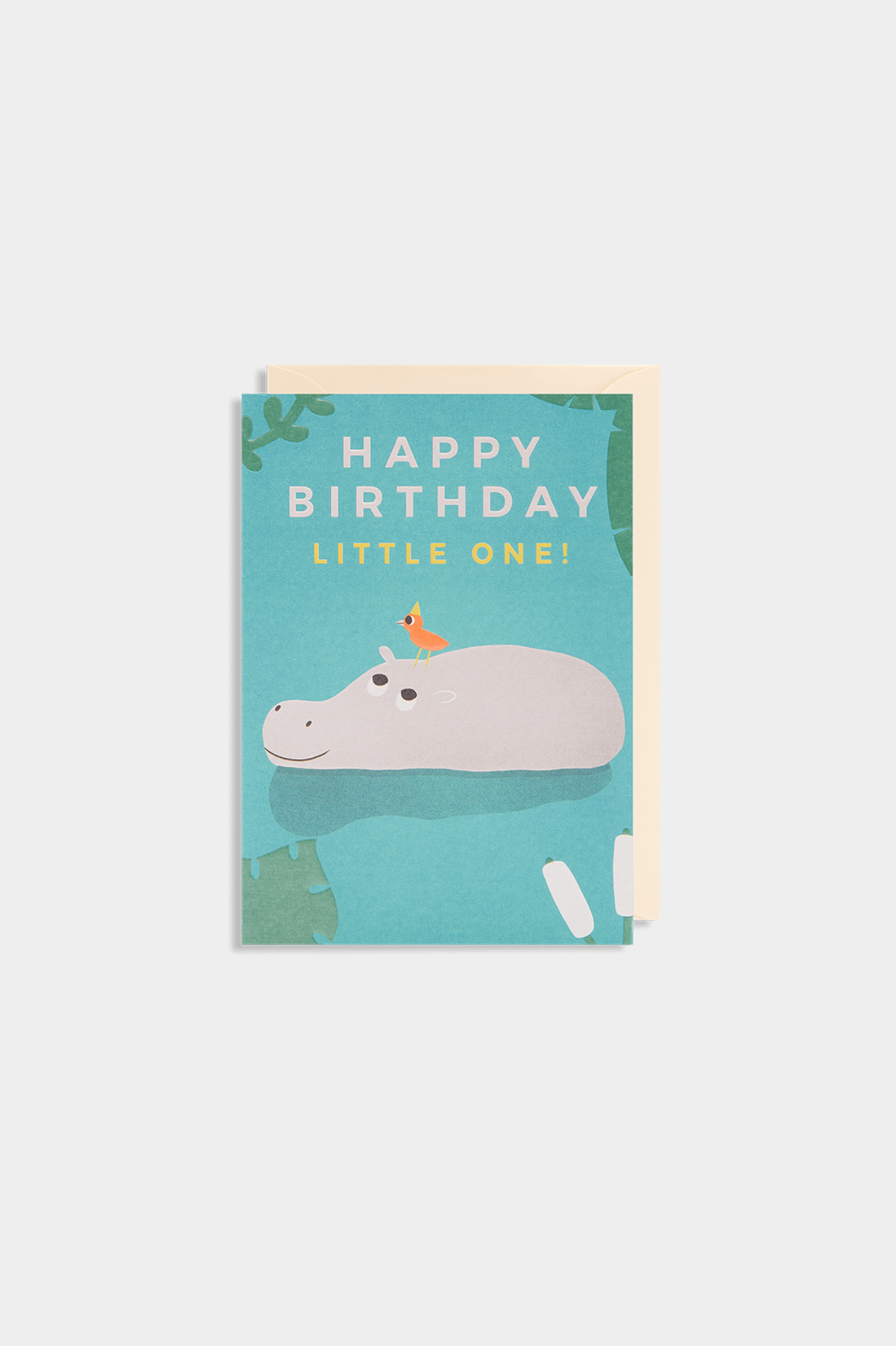 Birthday Hippo Greeting Card
