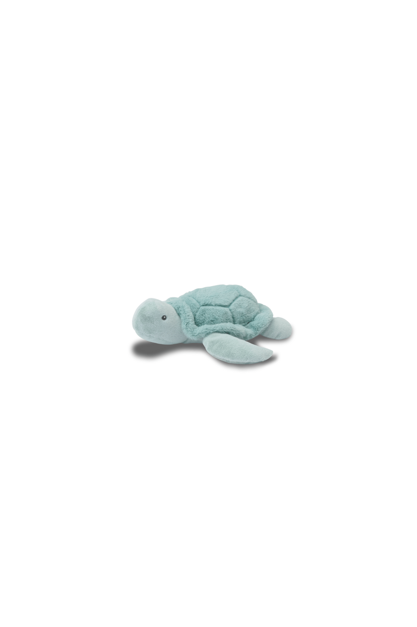 Bubble Toby the Turtle