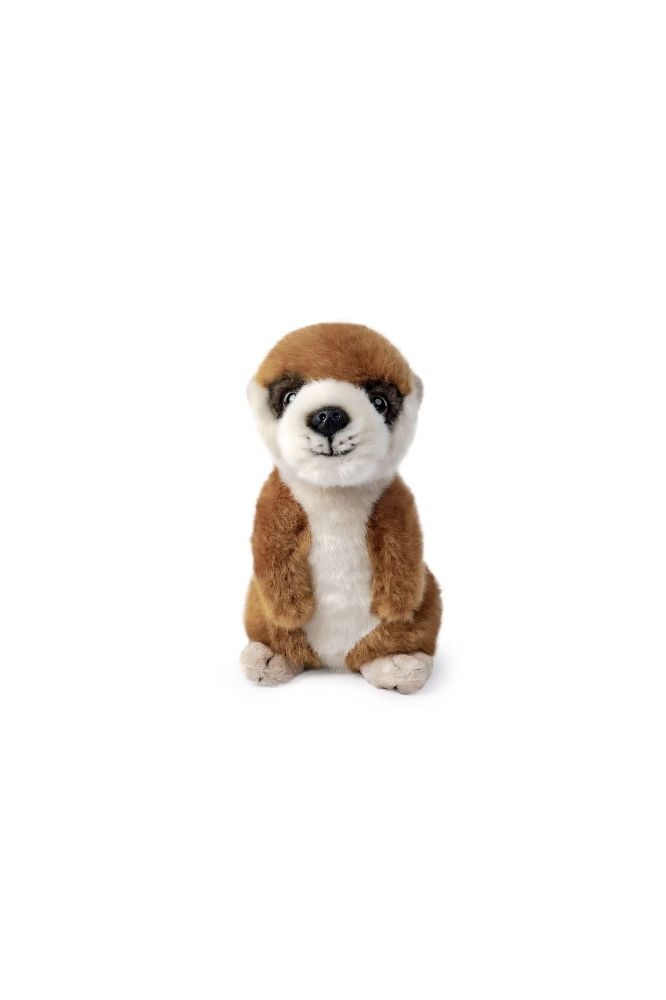LIVING NATURE Meerkat Pup
