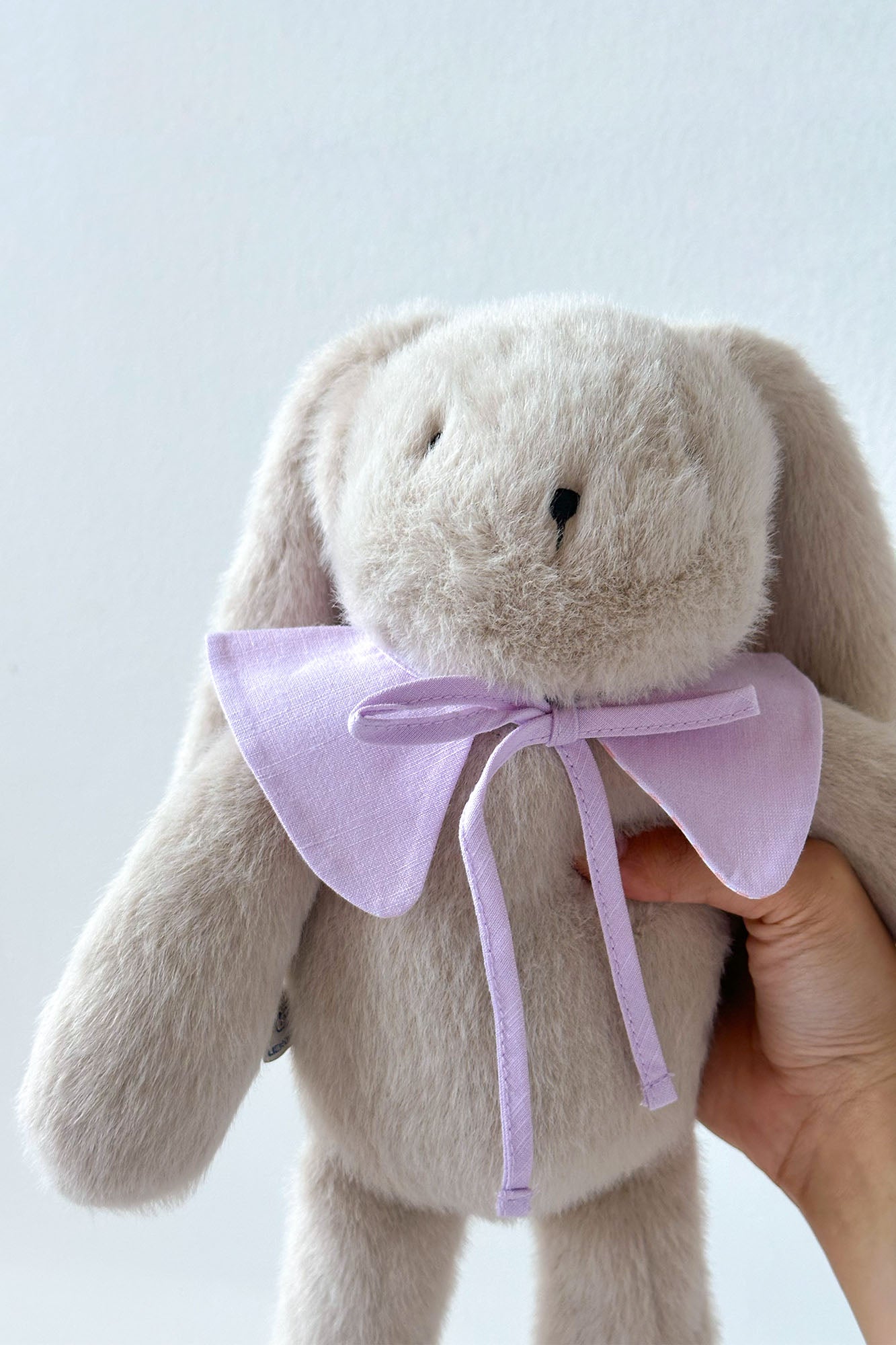 Mini Striped Lavender Reversible Pointed Collar
