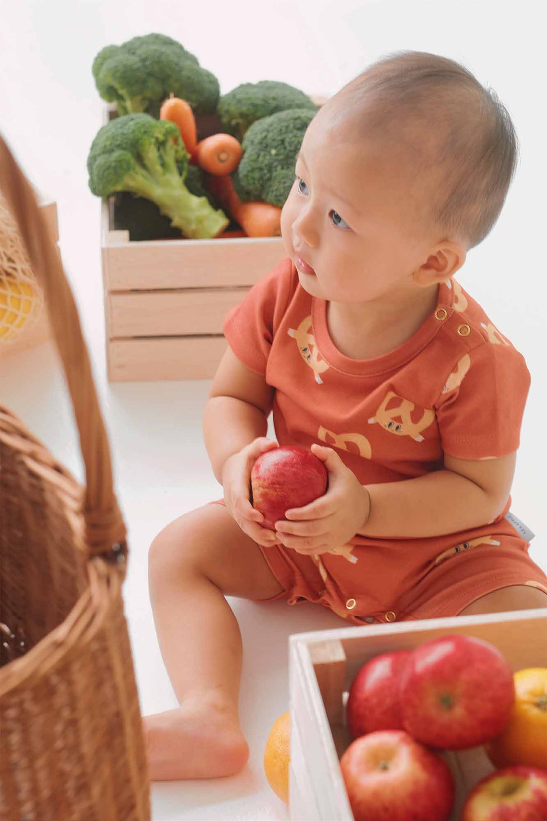 Gourmet Baby Gift Set