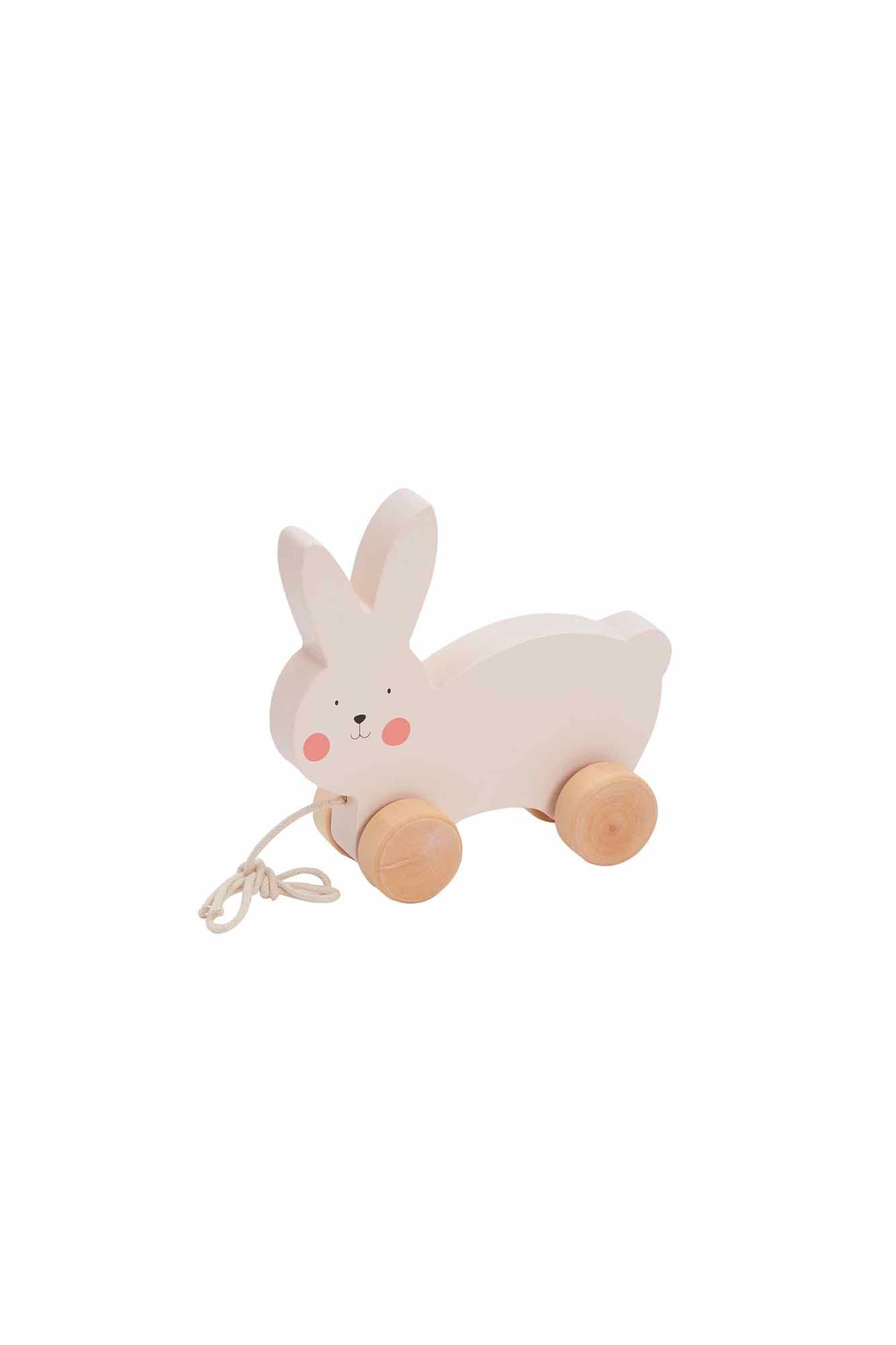 Bubble Wooden Rabbit Pull Along