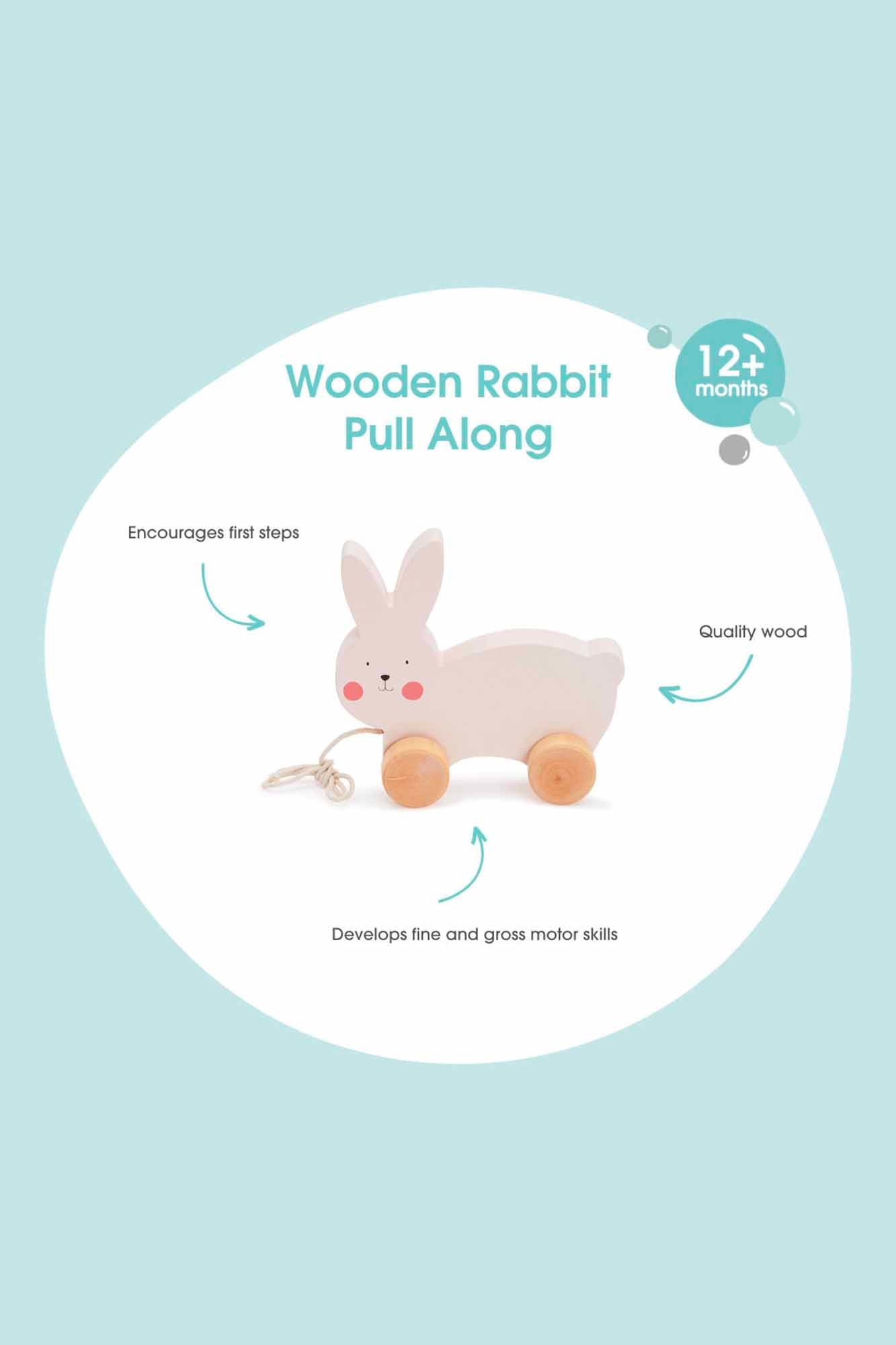 Bubble Wooden Rabbit Pull Along