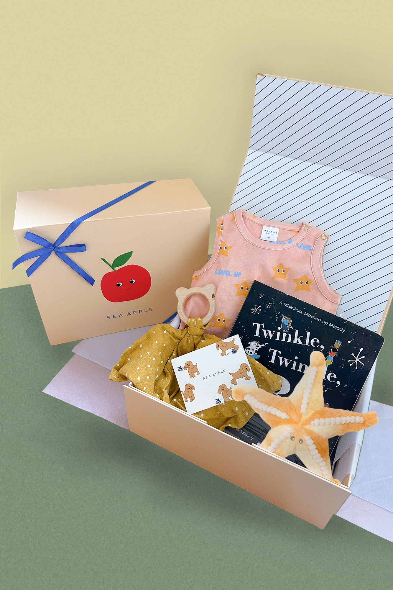 Baby Girl Twinkle Gift Set