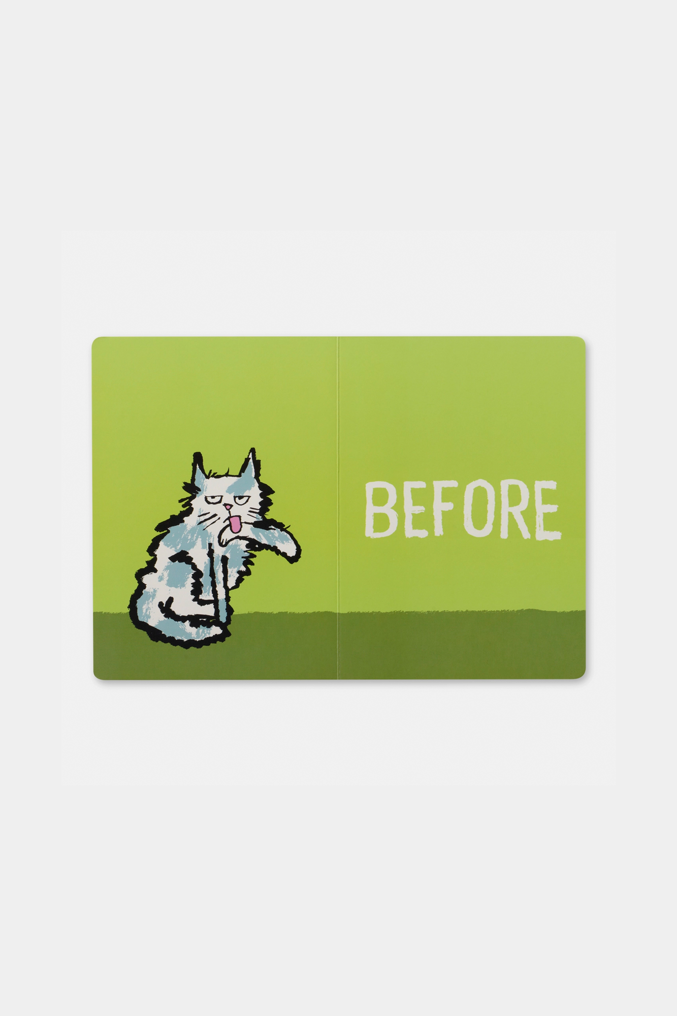 Before & After