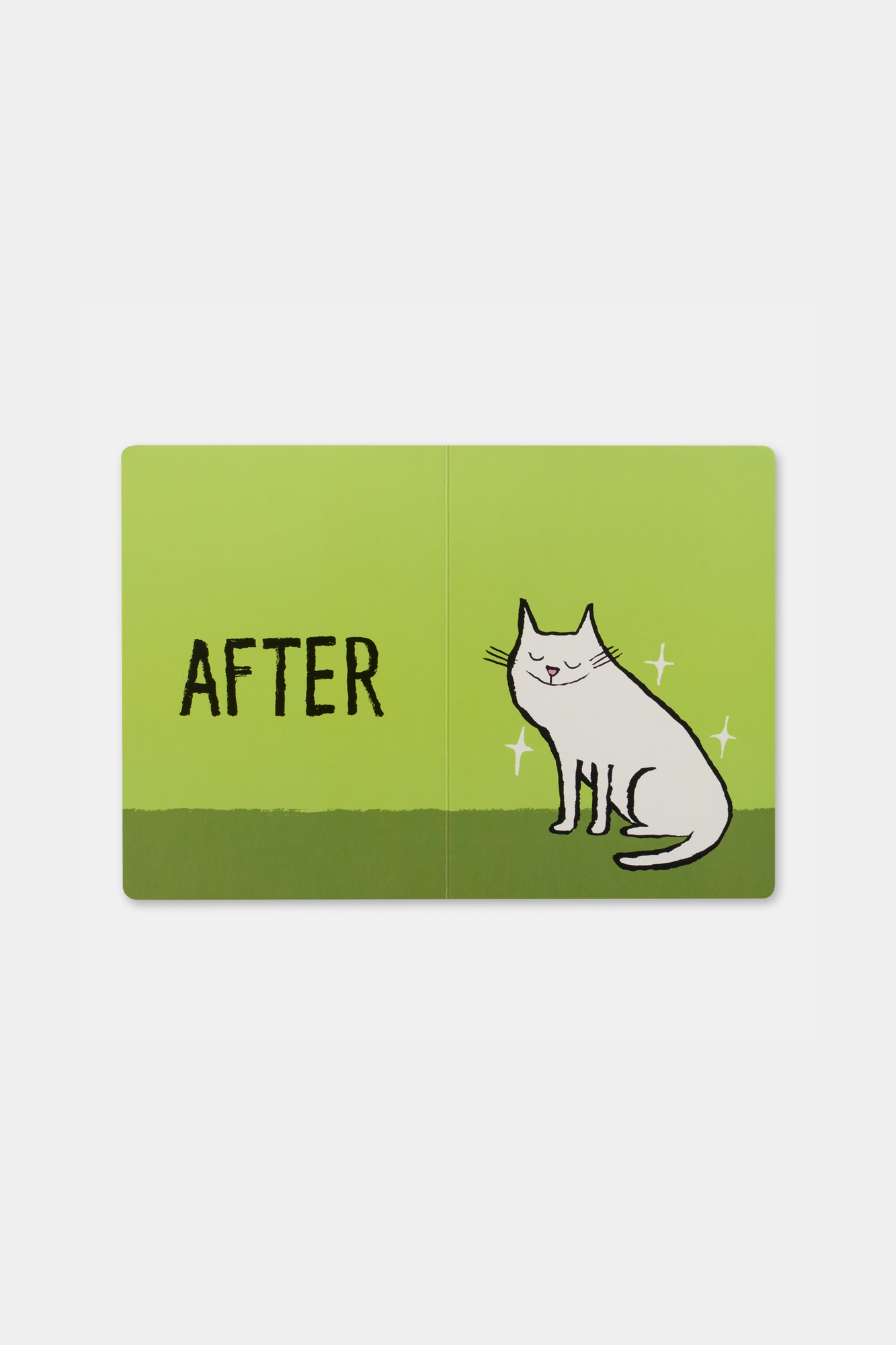 Before & After