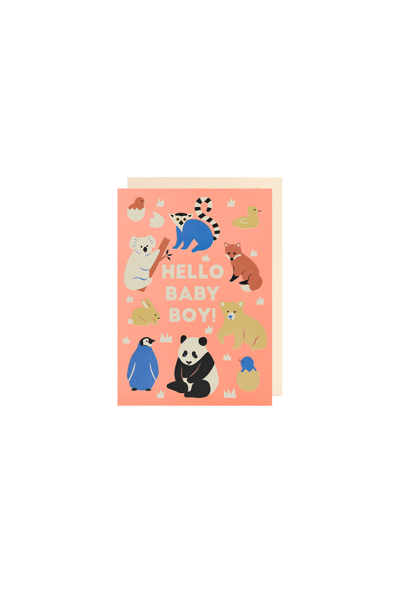 Hello Baby Boy! Greeting Card - Sea Apple
