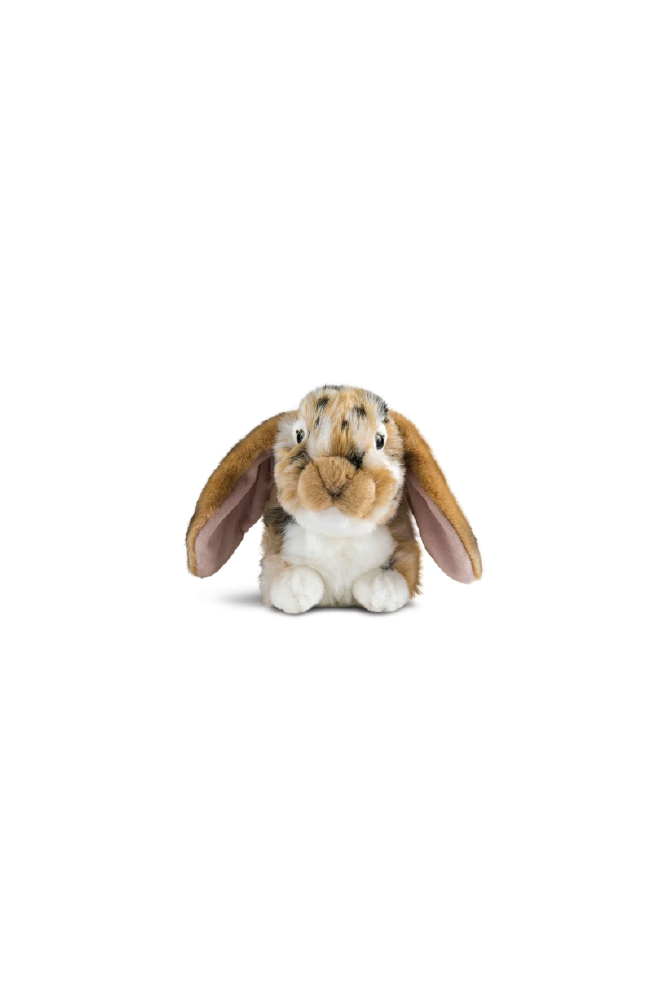 LIVING NATURE Brown Dutch Lop Eared Rabbit - Sea Apple