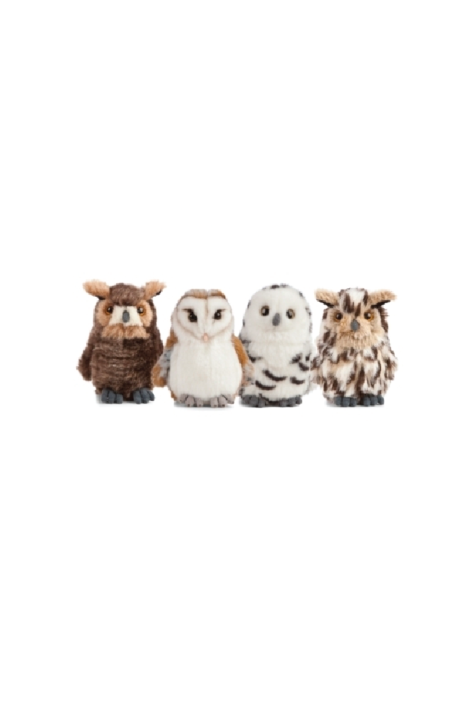 LIVING NATURE Owls 4 Assorted - Sea Apple