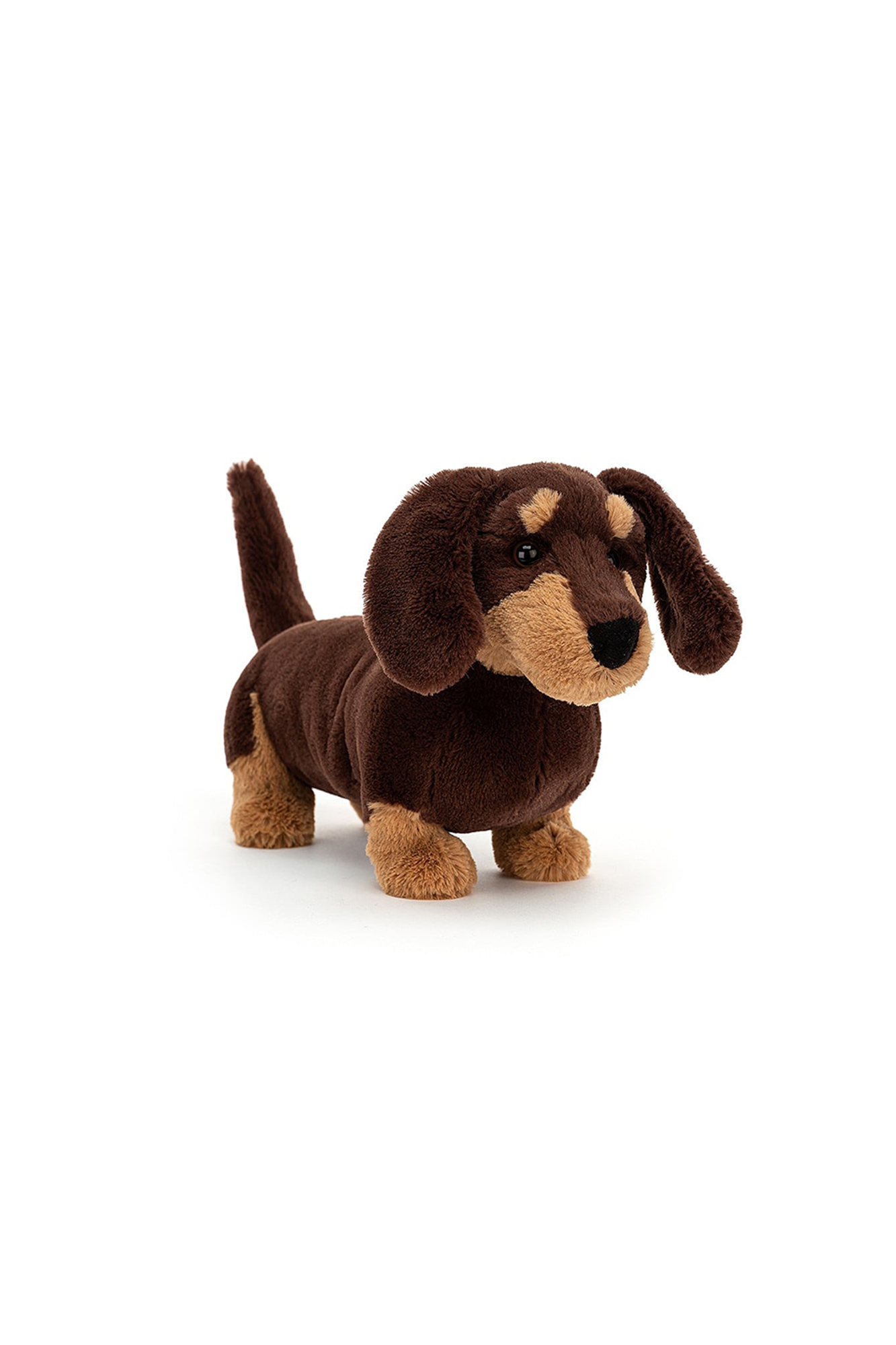 Sausage dog teddy bear shop