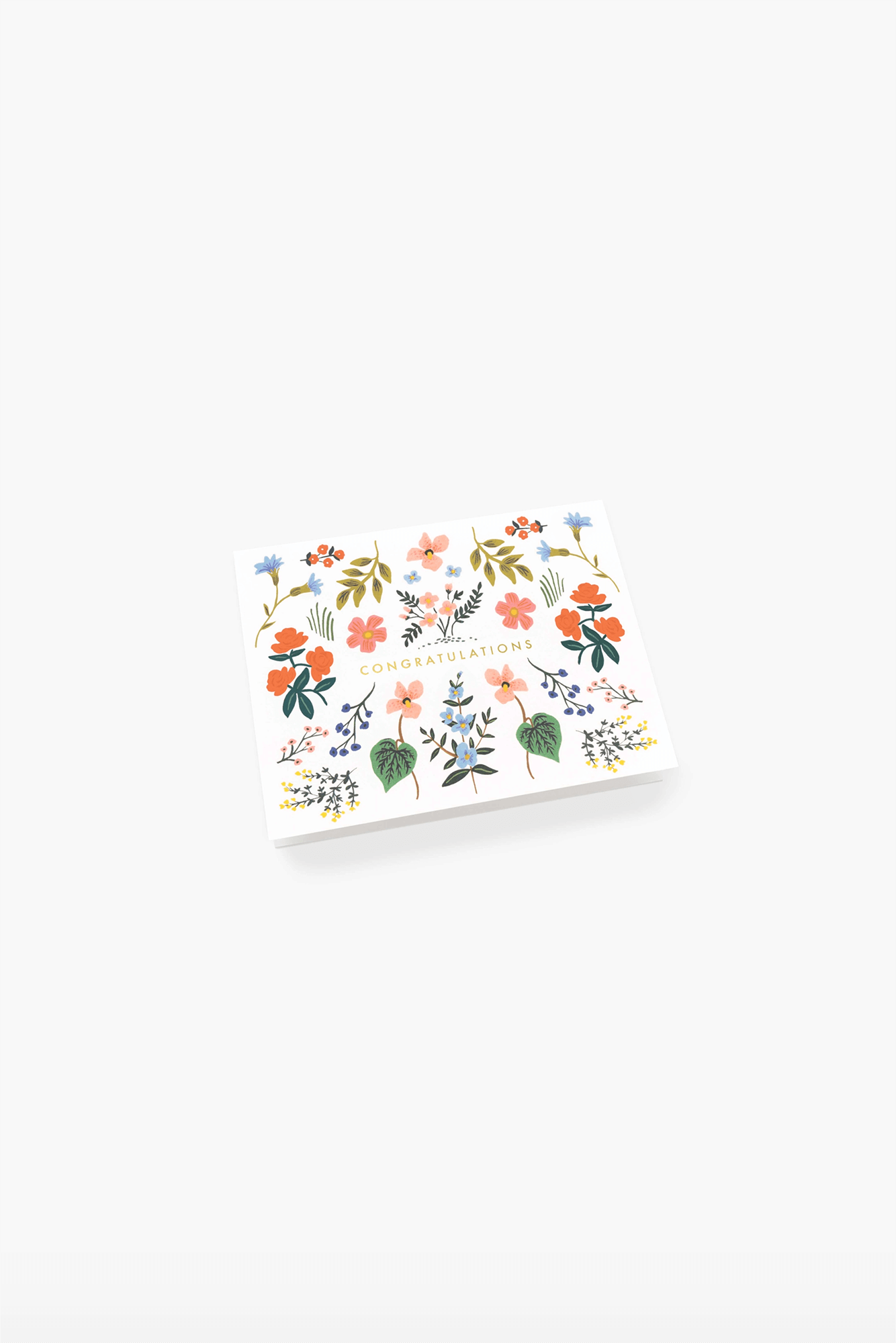 Wildwood Congrats Card - Sea Apple