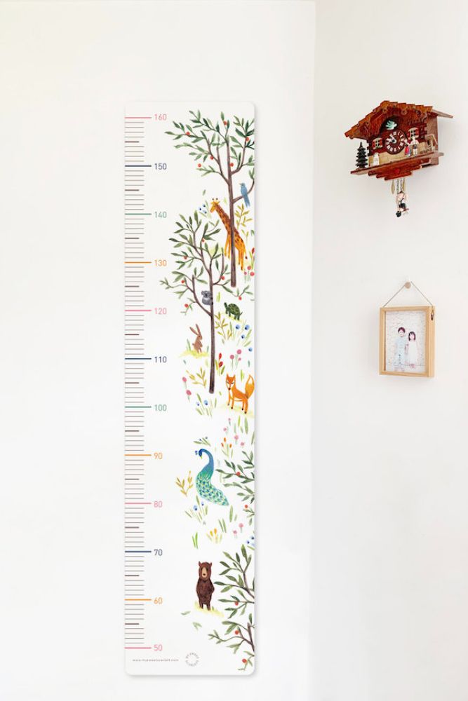 Zoo Height Chart - Sea Apple