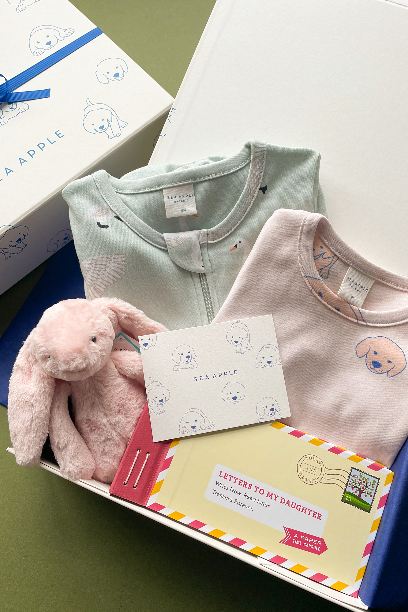 Cosy Day and Night Sleepsuit Gift Set