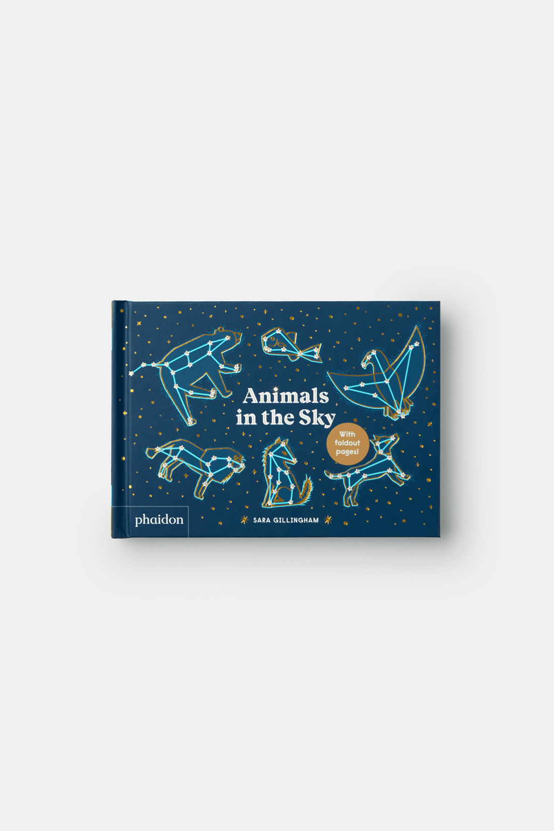 PHAIDON Books Animals in the Sky