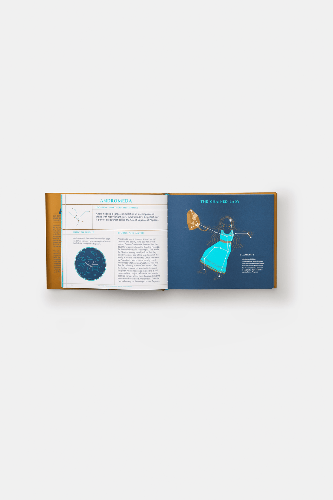 PHAIDON Books Seeing Stars