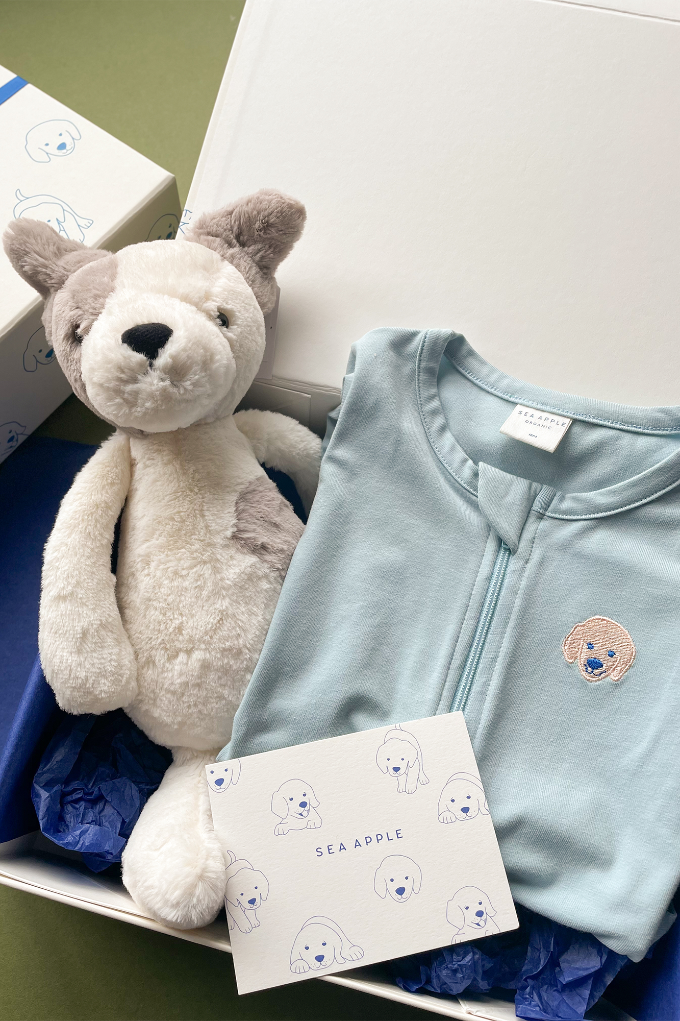 Puppies Sleepsuit Gift Set