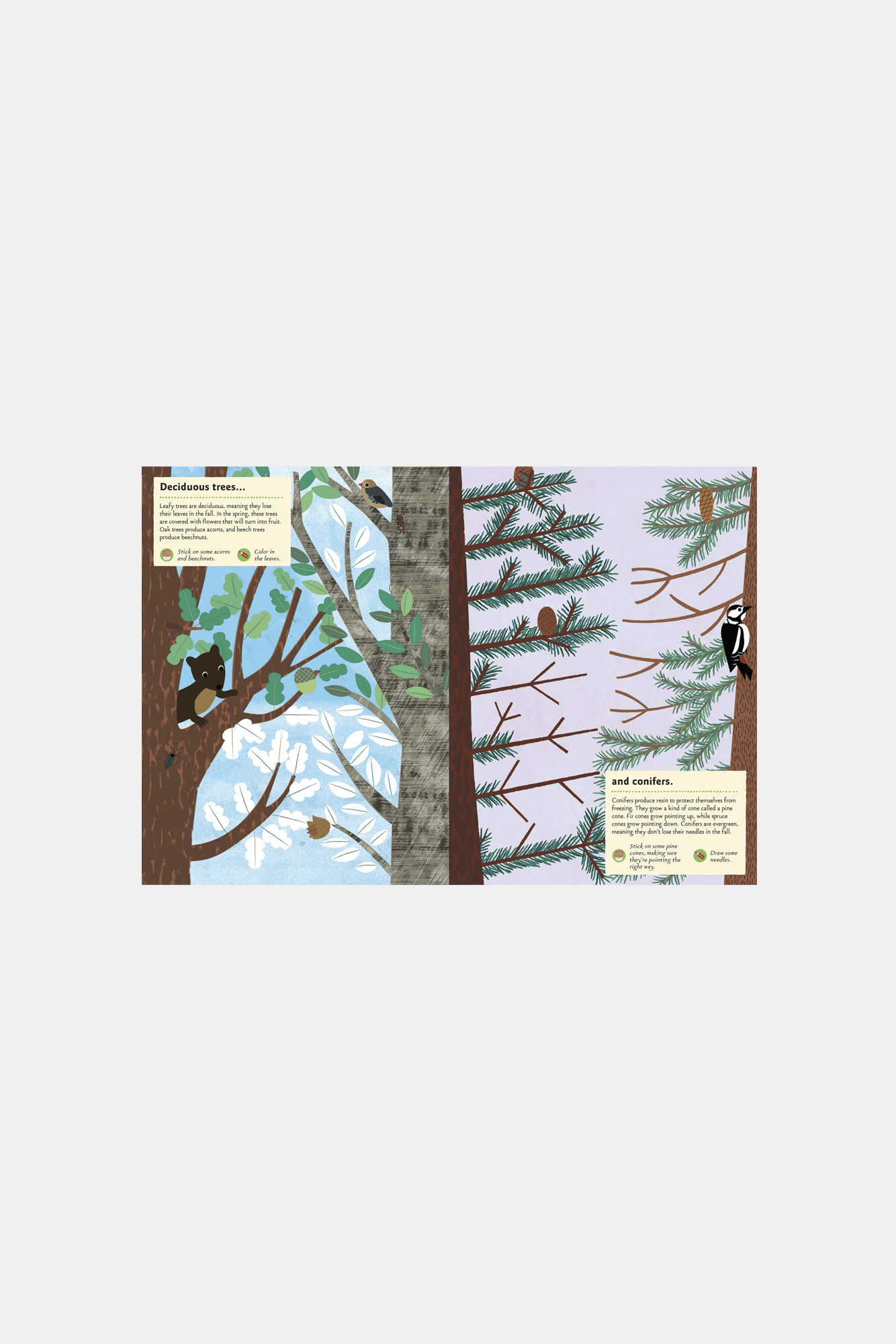 Various Publishers Books In The Forest My Nature Sticker Activity Book