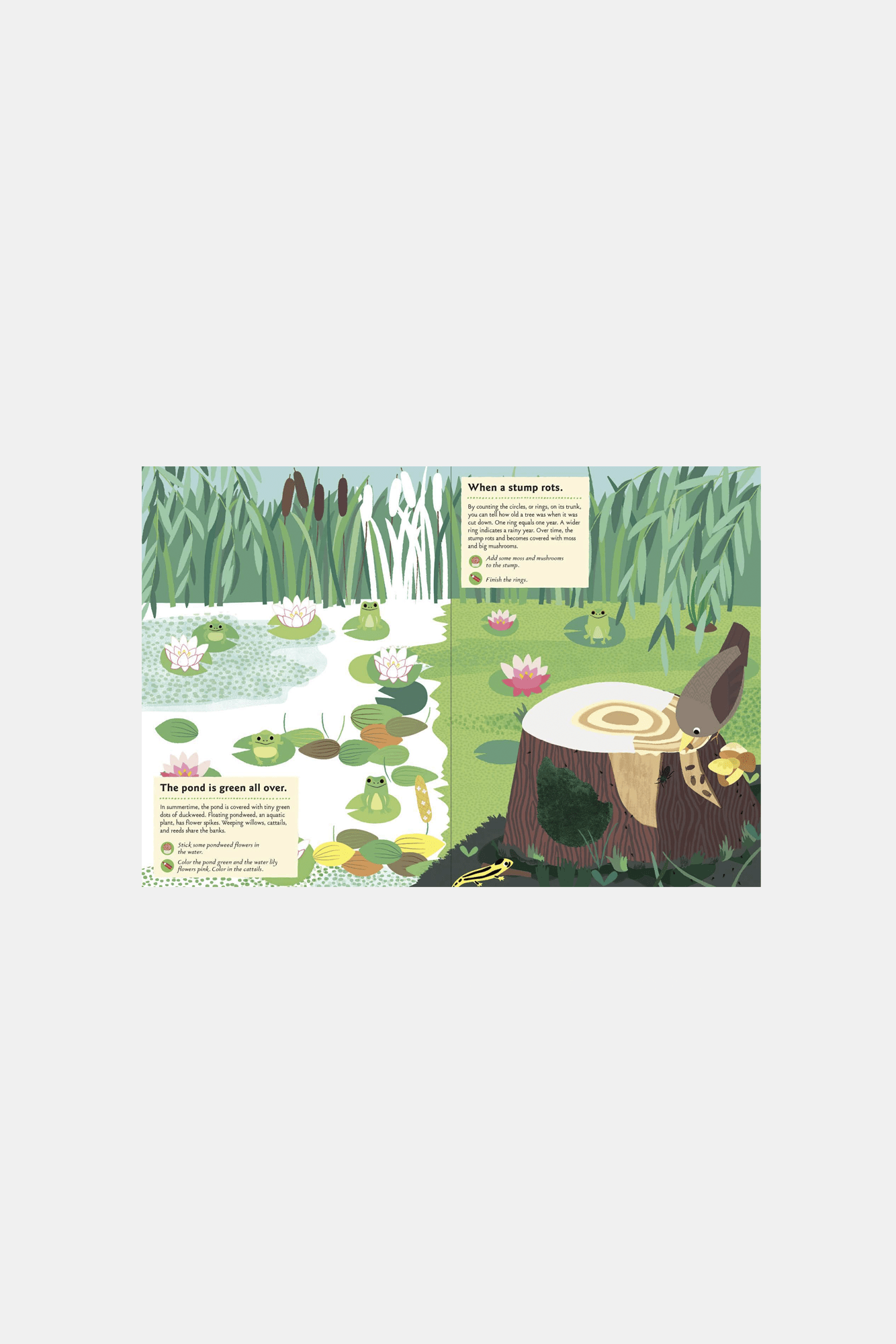 Various Publishers Books In The Forest My Nature Sticker Activity Book