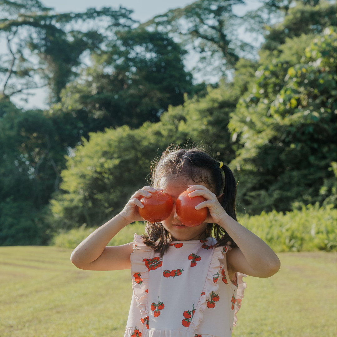 The Case for Wonder