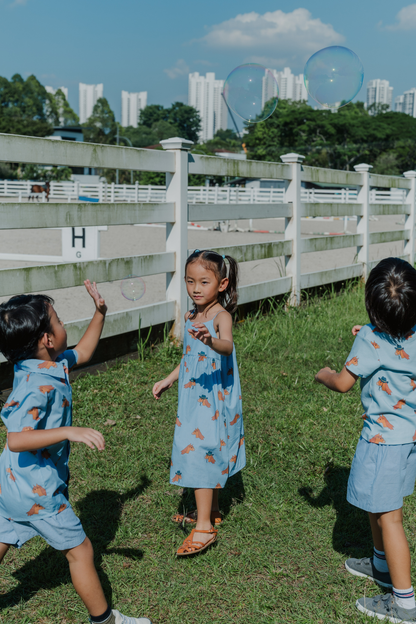 Horse Blue Midi Dress