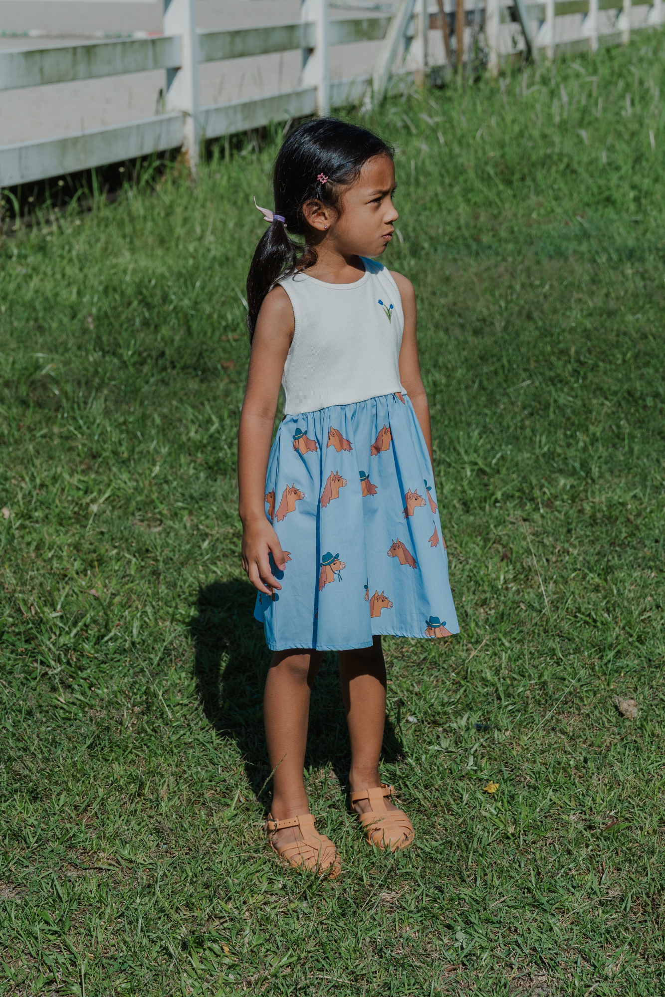 Horse Blue Splice Dress