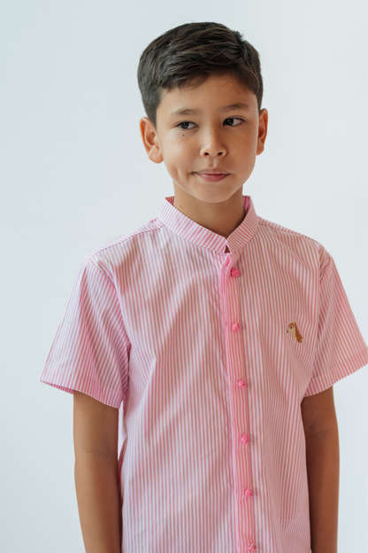 Pink Stripe Mandarin Shirt