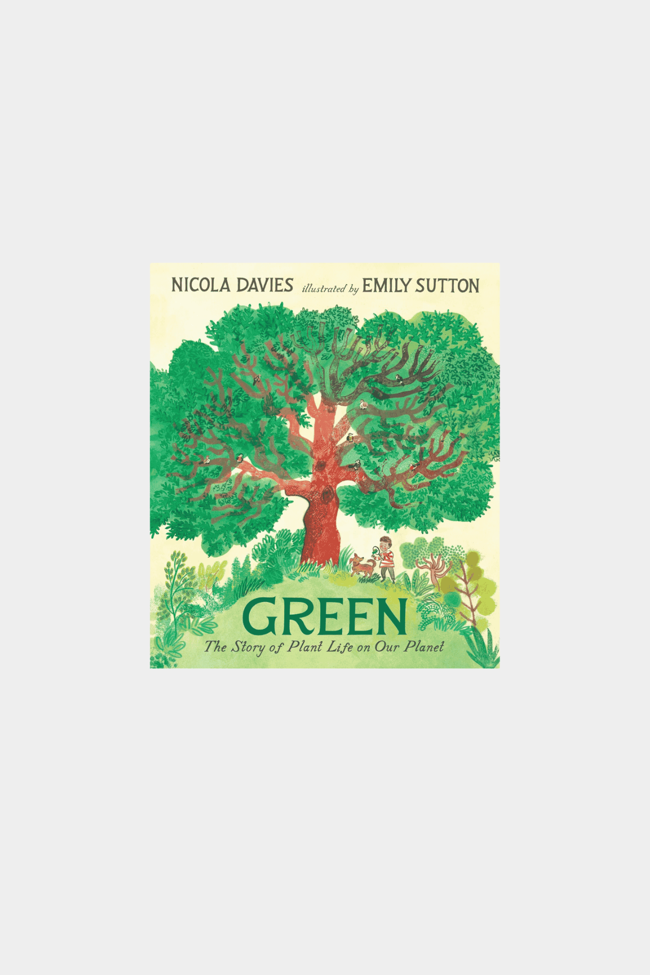 Green : The Story of Plant Life on Our Planet