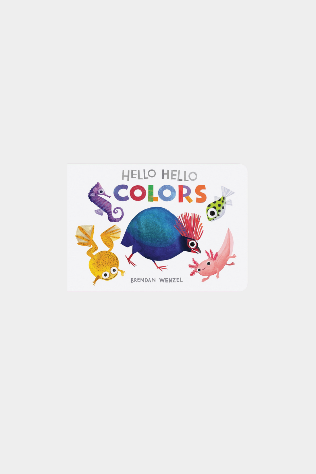 Hello Hello Colors