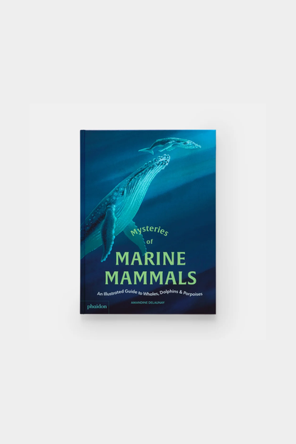 Mysteries of Marine Mammals: An Illustrated Guide to Whales, Dolphins, and Porpoises
