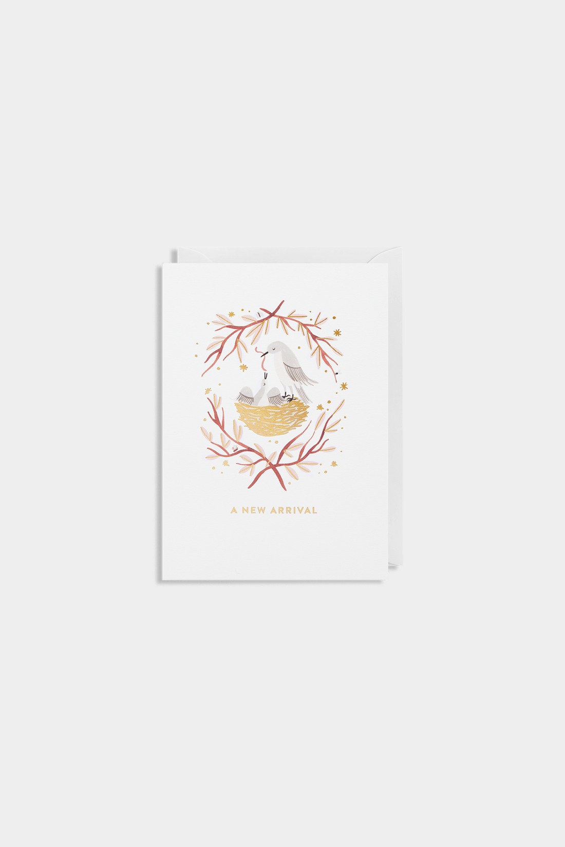 A New Arrival Greeting Card