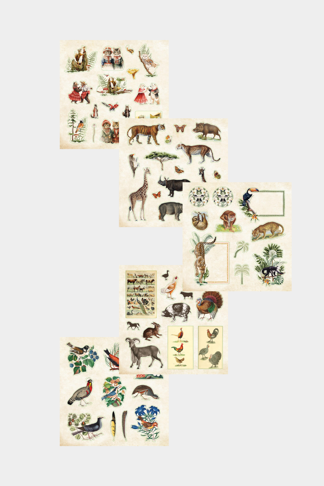 Zoological Ephemera Sticker Book