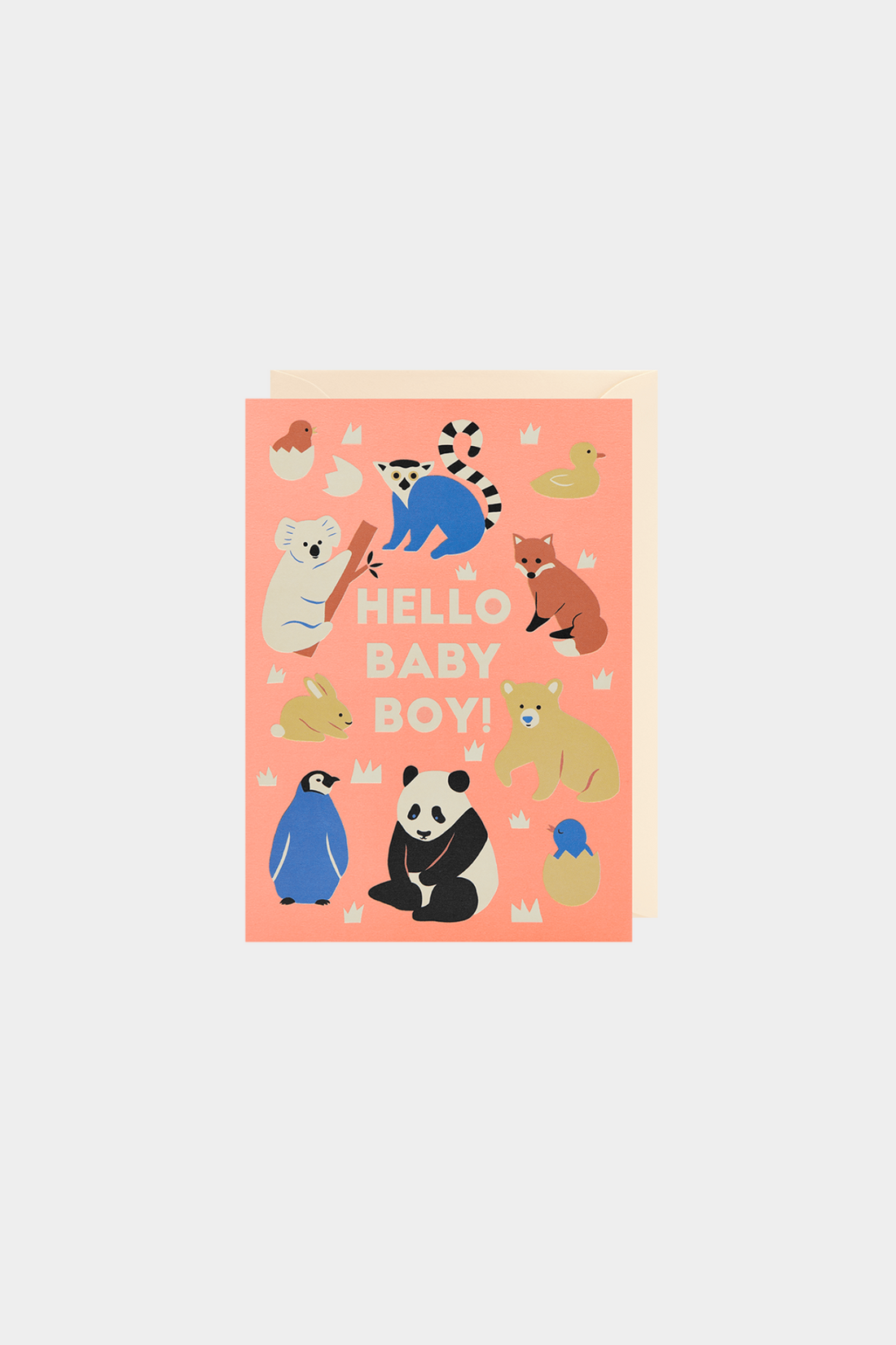 Hello Baby Boy! Greeting Card