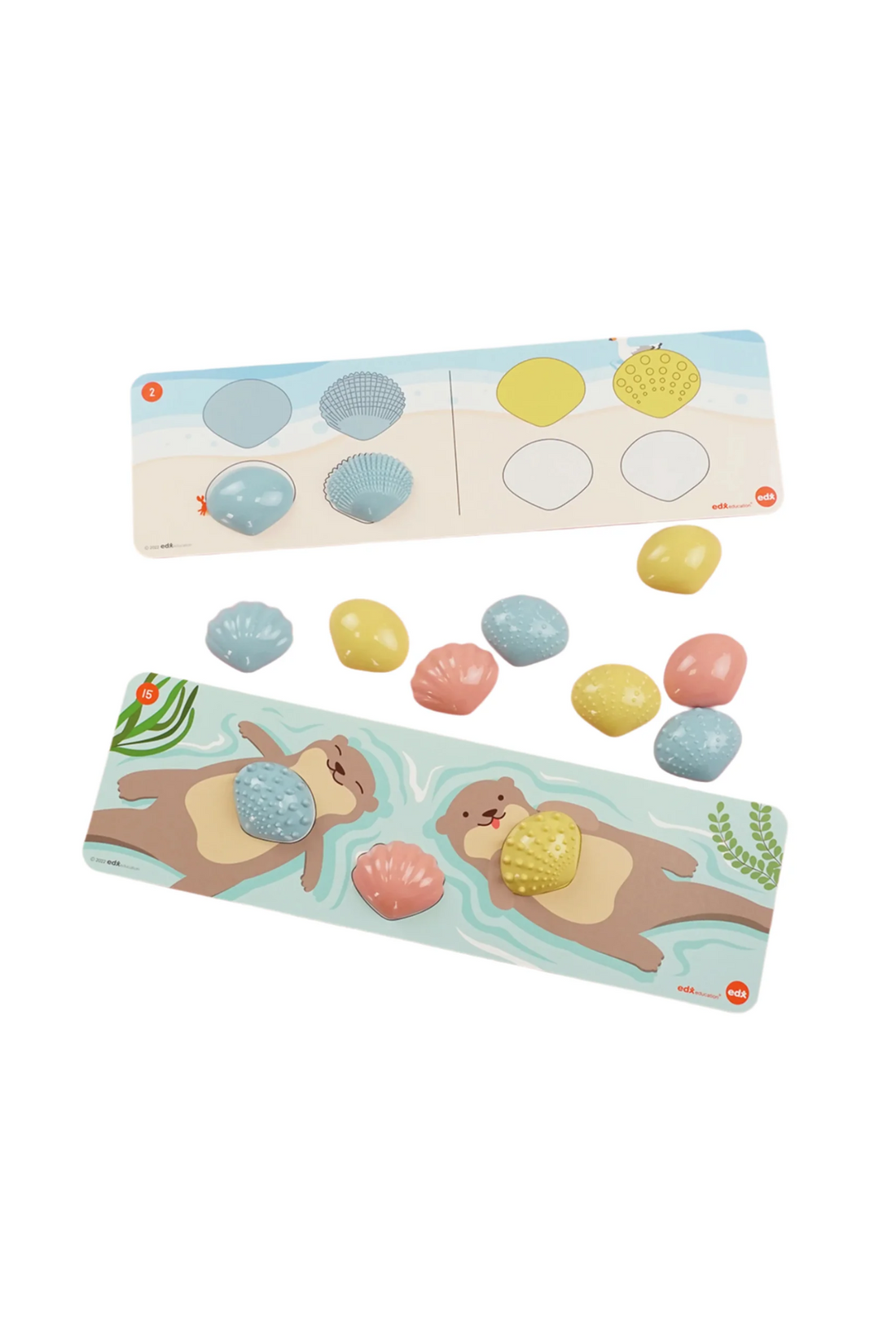 Edx Green n Learn Tactile Seashells Activity Set