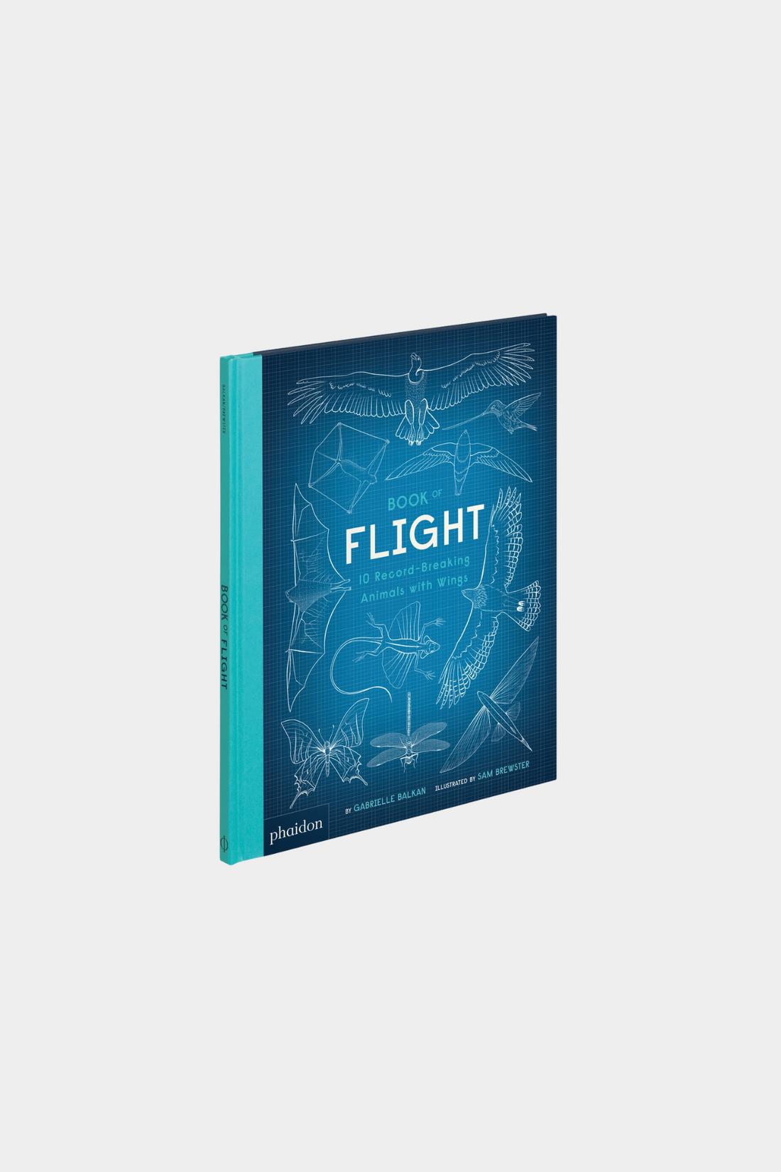 Book of Flight: 10 Record-Breaking Animals with Wings