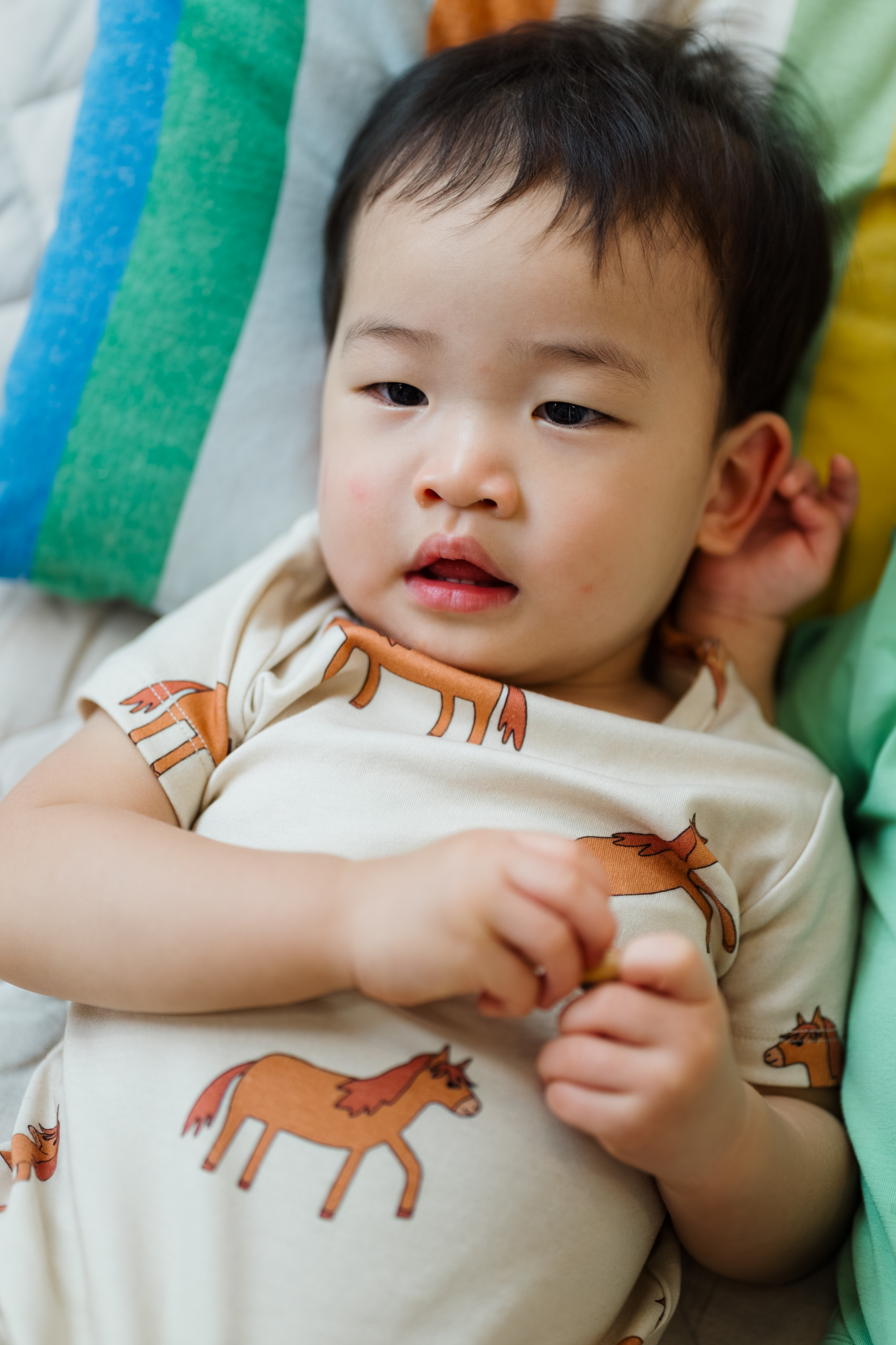 Horse Run Shorts Romper