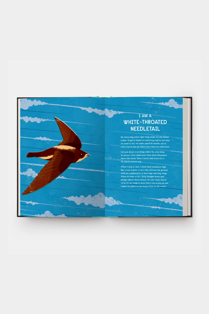 Book of Flight: 10 Record-Breaking Animals with Wings