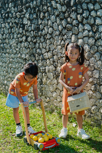 Farm Fresh Casual Dress