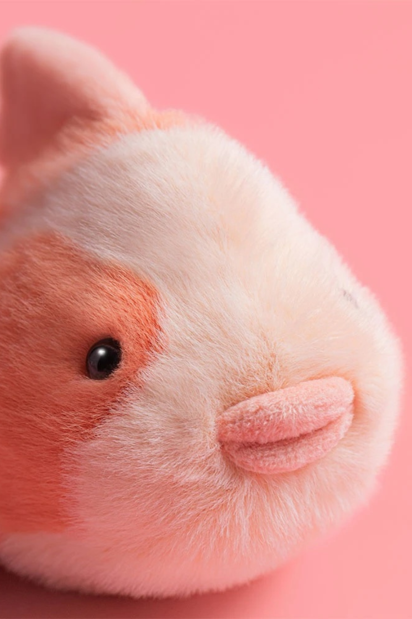 Jellycat Fancy Carp