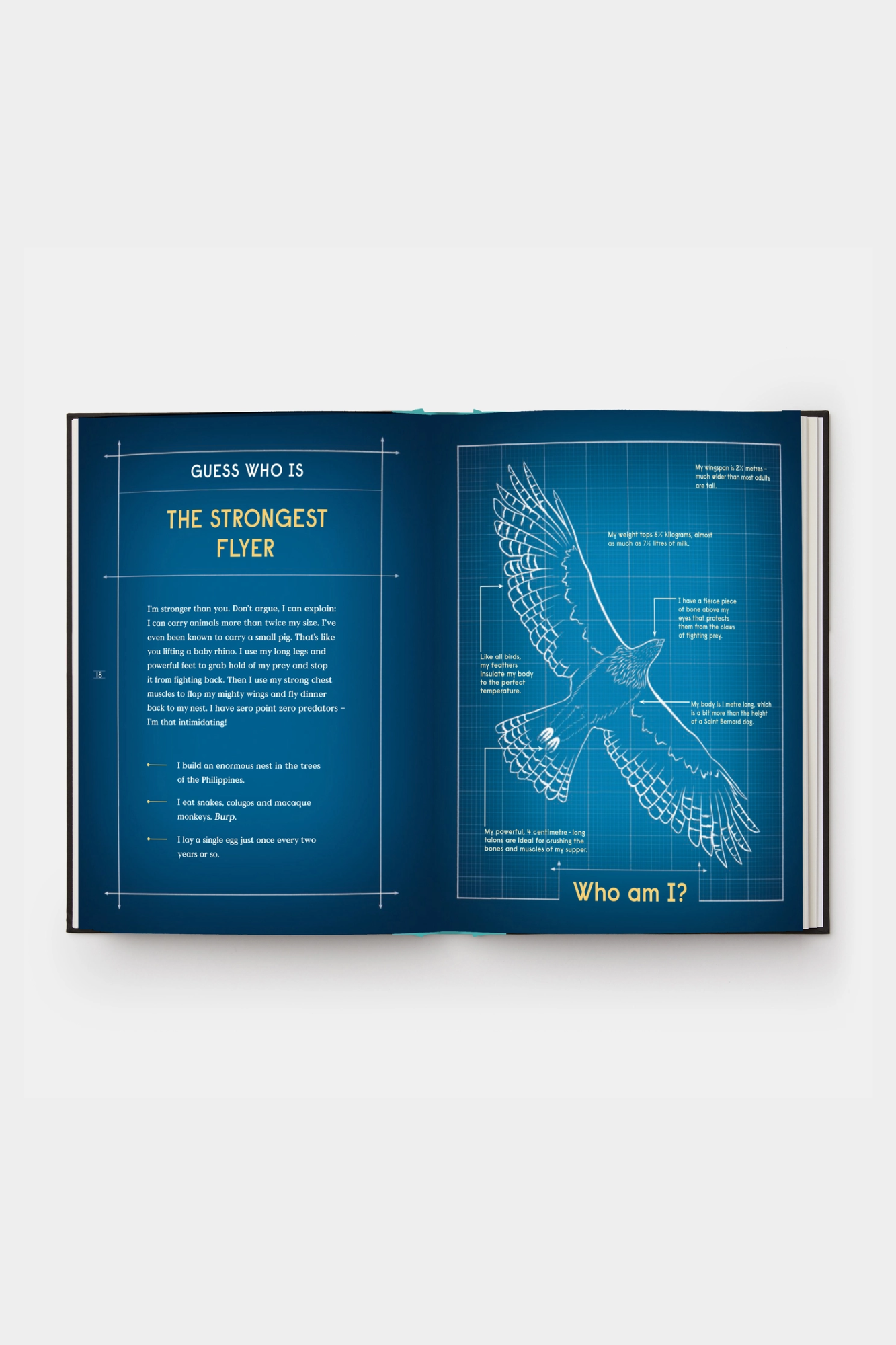 Book of Flight: 10 Record-Breaking Animals with Wings