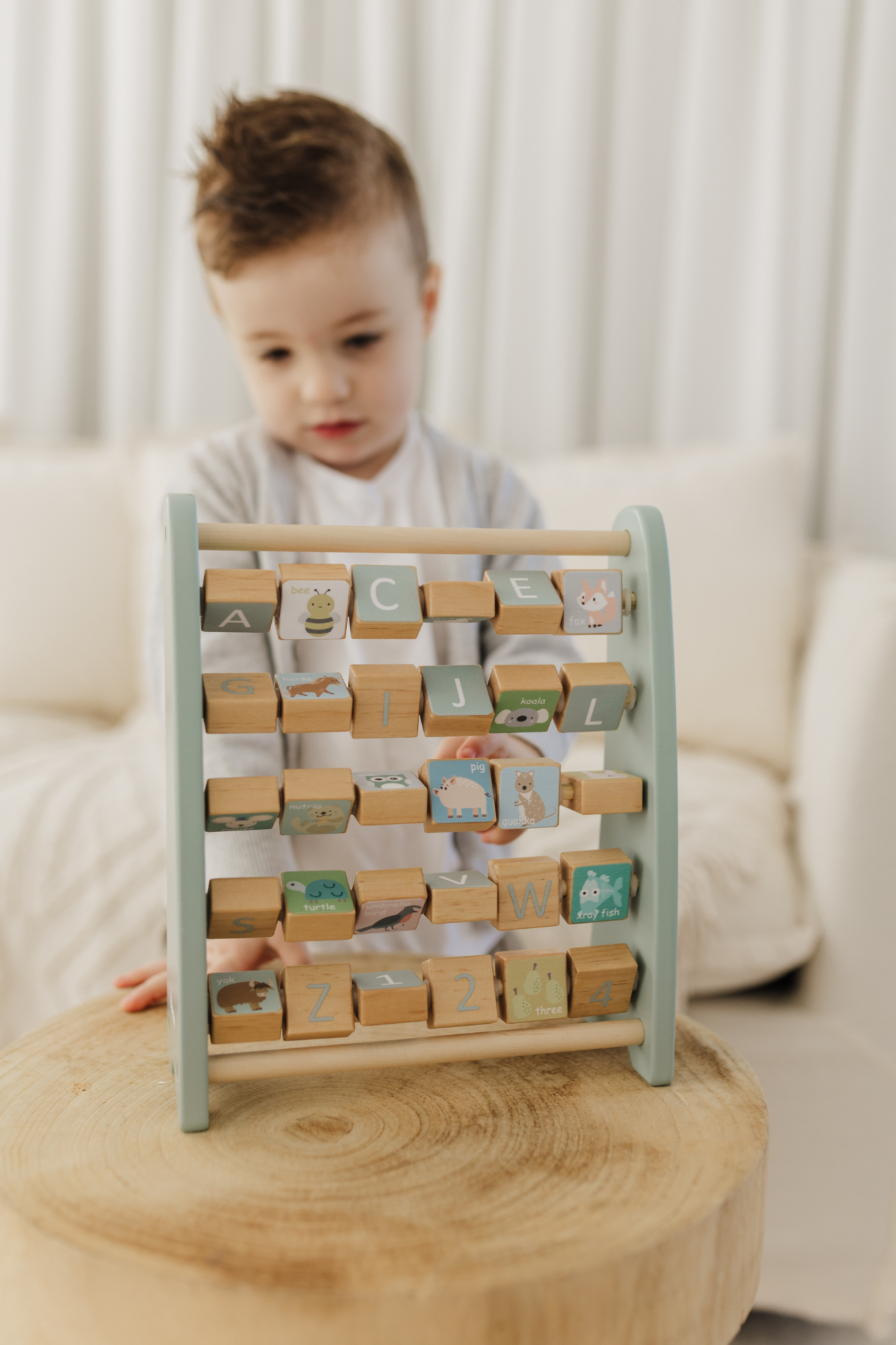 Bubble Wooden Abacus