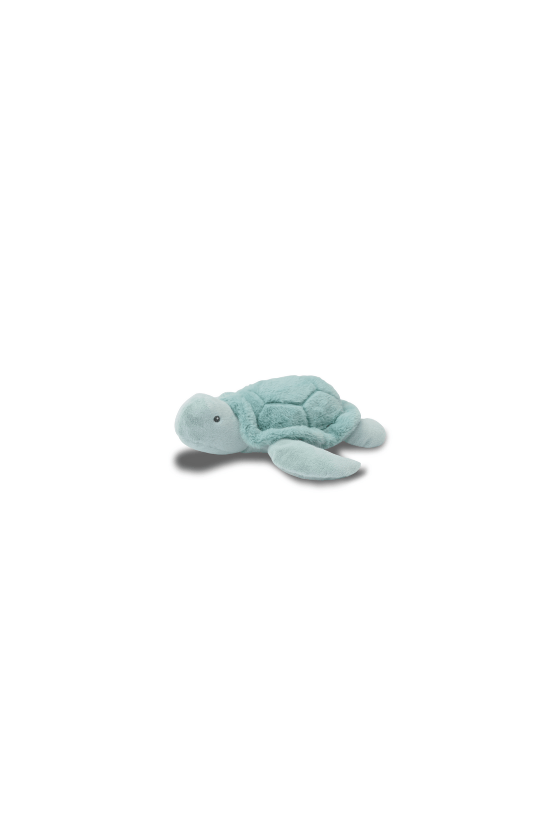 Bubble Toby the Turtle
