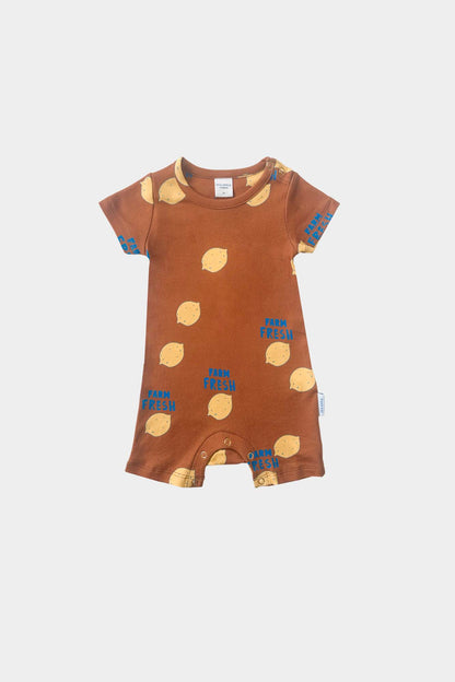 Farm Fresh Shorts Romper