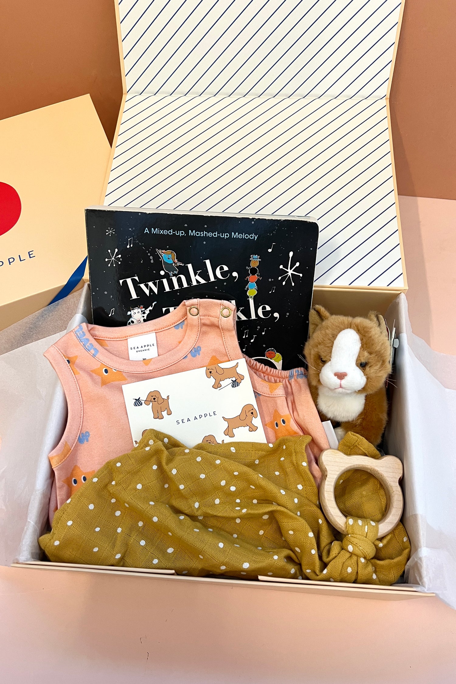 Baby Girl Twinkle Gift Set